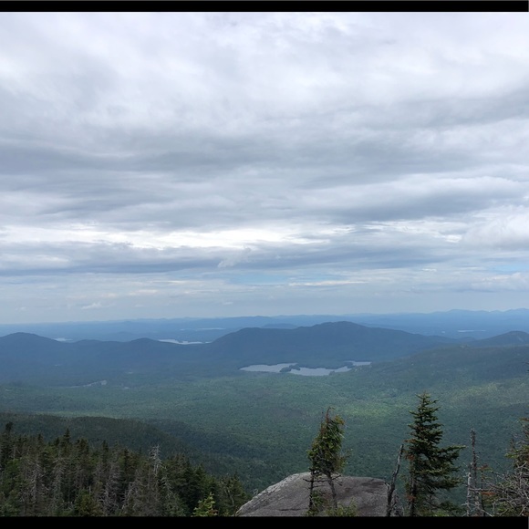 Meet your Posher, Frankie - Picture 1 of 1